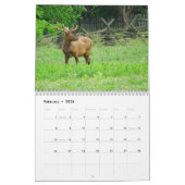 2013 Great Smoky Mountains Calendar Kalender (Feb 2026)
