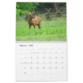 2013 Great Smoky Mountains Calendar Kalender (Feb 2027)