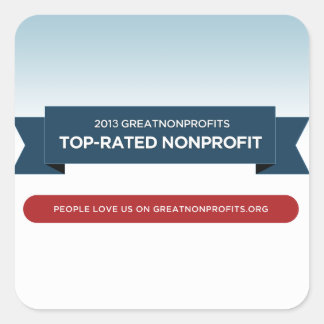 2013 GreatNonProfits Top-Rated Award Stickers