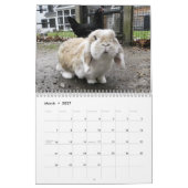 2013 HenCam-agenda Kalender (Mar 2027)