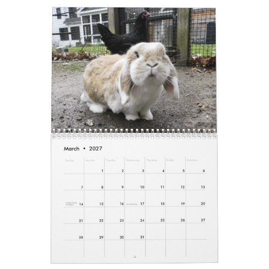 2013 HenCam-agenda Kalender (Mar 2027)