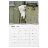 2013 HenCam-agenda Kalender (Feb 2027)