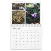 2013 Het Jaar in Ellis Hollow Garden Agenda Kalender (Mar 2026)