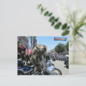 2013 Hollister Motorcycle Rally Briefkaart (Staand voorkant)