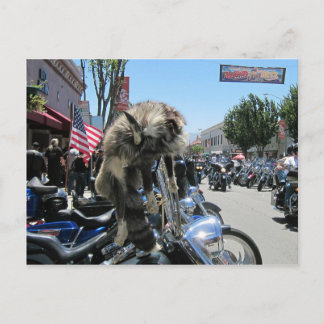 2013 Hollister Motorcycle Rally Briefkaart