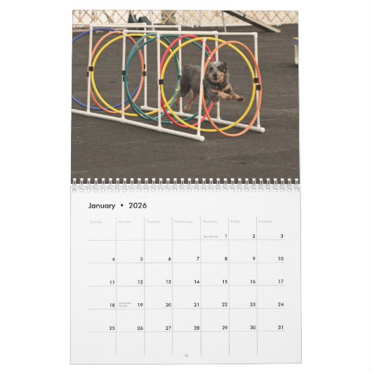 2013 Honden tijdens de run Kalender (Jan 2026)