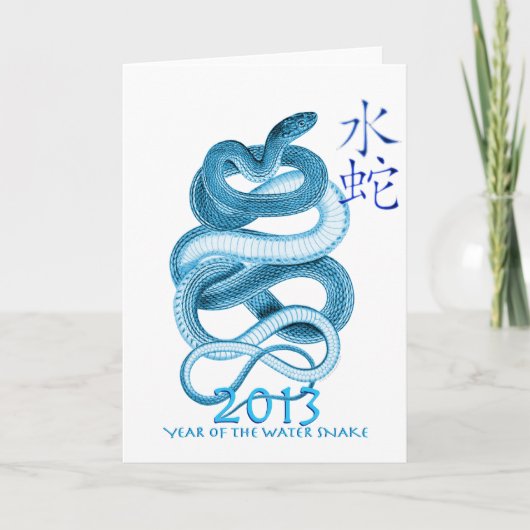 2013 Jaar van de Slang Feestdagen Kaart (Voorkant)