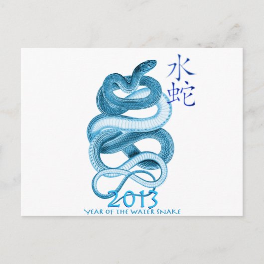2013 Jaar van de Slang Feestdagenkaart (Voorkant)