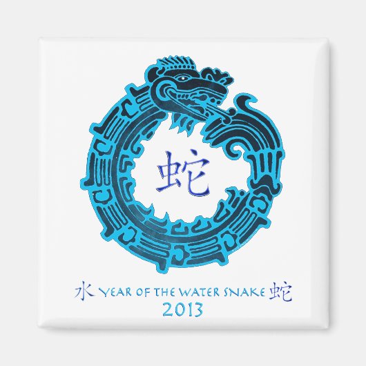 2013 Jaar van de waterslang Magneet (Voorkant)