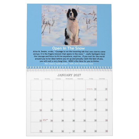 2013 Joyful Springer 12-maandenkalender Kalender (Jan 2027)