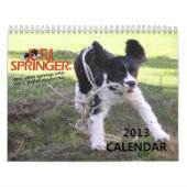 2013 Joyful Springer 12-maandenkalender Kalender (Hoes)