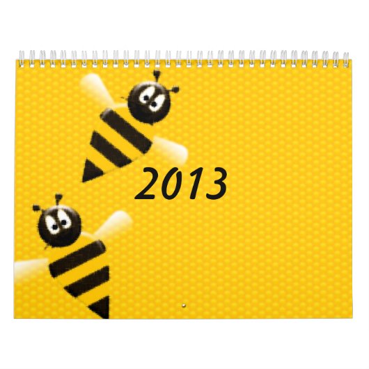 2013 KALENDER (Hoes)