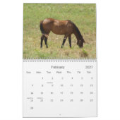 2013 Kalender Landelijke Paarden (Feb 2027)