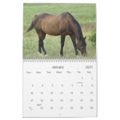 2013 Kalender Landelijke Paarden (Jan 2027)