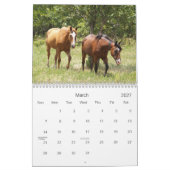 2013 Kalender Landelijke Paarden (Mar 2027)