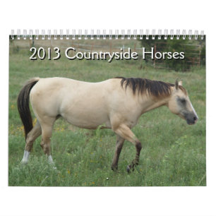 2013 Kalender Landelijke Paarden