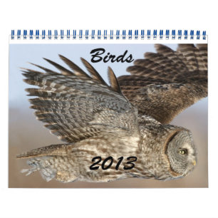 2013 Kalender van Vogels