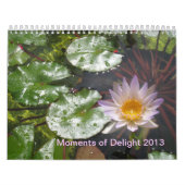 2013 Momenten van de kalender van de Schrapping (Hoes)