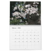 2013 (niet 2025) DC Cherry Blossom Kalender (Feb 2026)