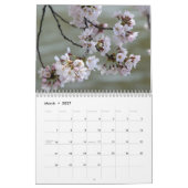 2013 (niet 2025) DC Cherry Blossom Kalender (Mar 2027)