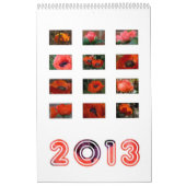 2013 - papaverkalender kalender (Hoes)