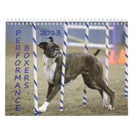2013 Performance Boxer Calendar Kalender (Hoes)