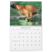 2013 Performance Boxer Calendar Kalender (Feb 2027)