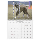 2013 Performance Boxer Calendar Kalender (Jan 2027)