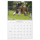 2013 Performance Boxer Calendar Kalender (Mar 2027)