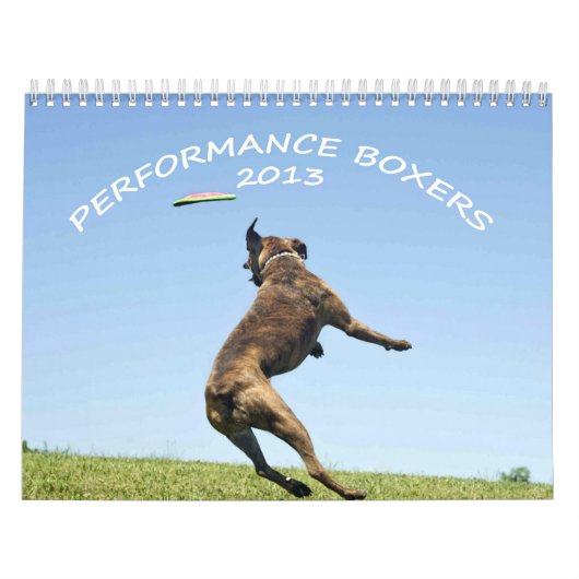 2013 Performance Boxer Calendar Kalender (Hoes)