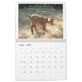 2013 Prachtige Geiten AngelGoats Kalender (Mar 2027)
