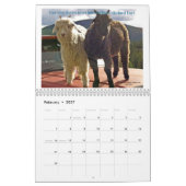 2013 Prachtige Geiten AngelGoats Kalender (Feb 2027)