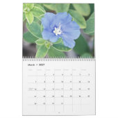 2013: schitterende fotokalender voor bloemen kalender (Mar 2027)