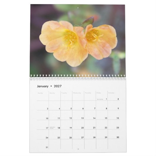 2013: schitterende fotokalender voor bloemen kalender (Jan 2027)