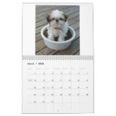 2013 Shih Tzu Puppy Calendar Kalender (Mar 2026)