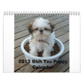 2013 Shih Tzu Puppy Calendar Kalender (Hoes)