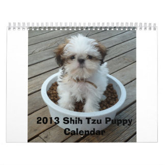 2013 Shih Tzu Puppy Calendar Kalender