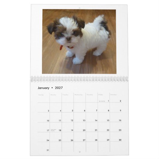 2013 Shih Tzu Puppy Calendar Kalender (Jan 2027)