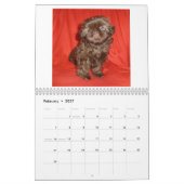 2013 Shih Tzu Puppy Calendar Kalender (Feb 2027)