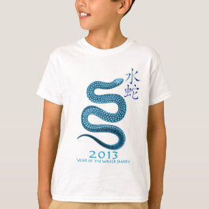 2013 T-SHIRT