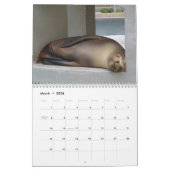 2013 Verbazingwekkende Dieren Wild Animal 12 maand Kalender (Mar 2026)