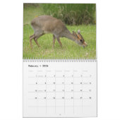 2013 Verbazingwekkende Dieren Wild Animal 12 maand Kalender (Feb 2026)