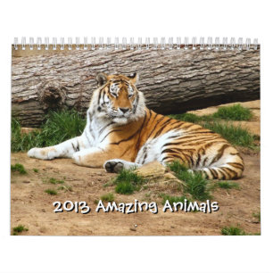 2013 Verbazingwekkende Dieren Wild Animal 12 maand Kalender