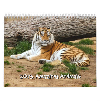 2013 Verbazingwekkende Dieren Wild Animal 12 maand Kalender