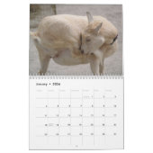2013 Verbazingwekkende Dieren Wild Animal 12 maand Kalender (Jan 2026)