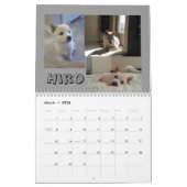 2013 Washington D.C. Shiba Inu Kalender (Mar 2026)