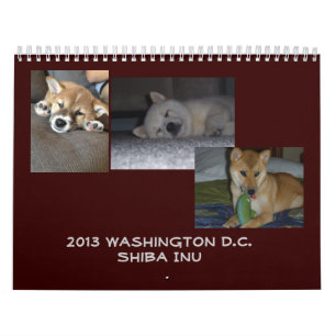 2013 Washington D.C. Shiba Inu Kalender