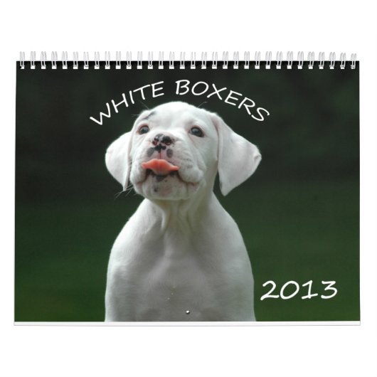 2013 White Boxer Calendar Kalender (Hoes)