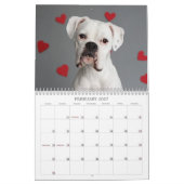 2013 White Boxer Calendar Kalender (Feb 2027)