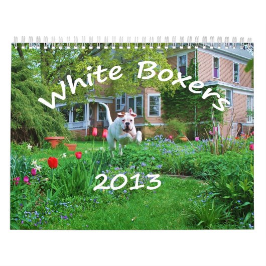 2013 White Boxer Calendar Kalender (Hoes)